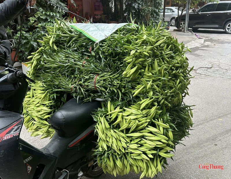 Những bó hoa loa kèn được chuyển lên xe, rời cánh đồng Tây Tựu đi tiêu thụ.