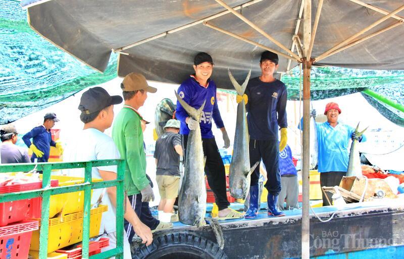 Năm 2025, sản lượng thủy sản của tỉnh đạt khoảng 311.835 tấn và dự kiến tăng lên 314.670 tấn trong năm 2026. Ảnh: Hiền Mai