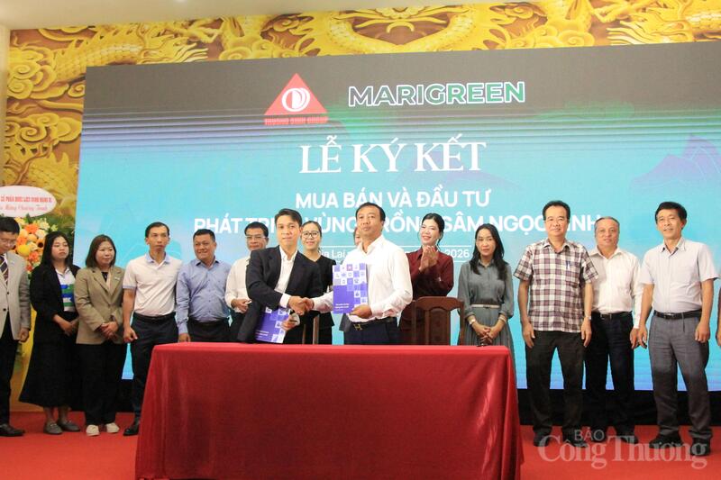 Ký kết phát triển vùng trồng sâm dưới tán rừng tại khu vực Măng Ri, hướng tới mục tiêu 2 triệu cây sâm vào năm 2028. Ảnh: Hiền Mai