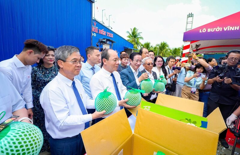 Trái bưởi trở thành loại trái cây thứ 8 vào được thị trường Australia là dấu mốc quan trọng, khẳng định năng lực sản xuất của nông nghiệp Việt Nam. Ảnh: Thanh Tùng