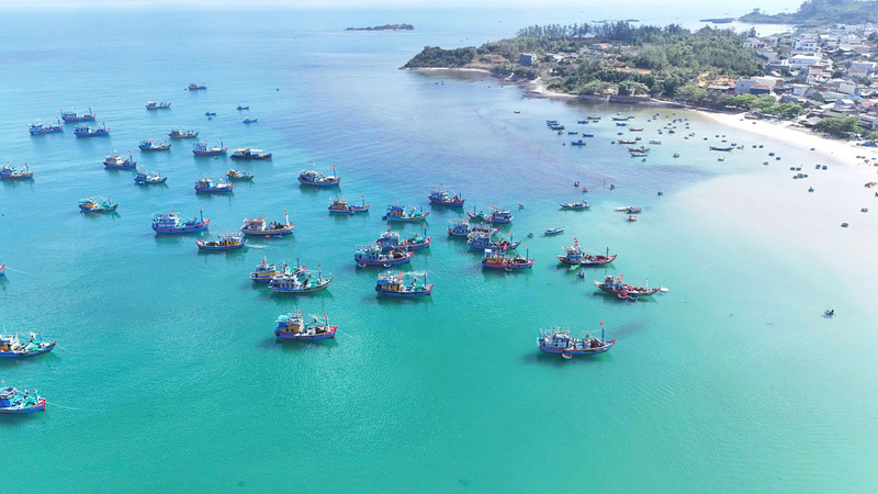 Sau sáp nhập, tỉnh Quảng Ngãi có thêm nhiều tiềm năng để phát triển ngành thủy sản. Ảnh: Nguyễn Dương