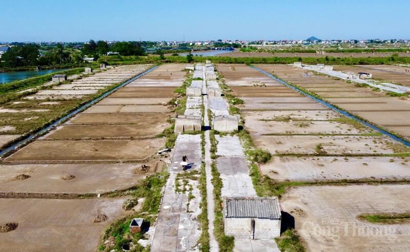 Giữa cái nắng bỏng rát hơn 40 độ C ngoài trời những ngày cuối tháng 5, cánh đồng muối ở xã Hoa Lộc, tỉnh Thanh Hoá như một “chảo lửa” khổng lồ. Dù nắng nóng gay gắt, song vẫn có hàng chục diêm dân miệt mài lao động, mưu sinh. Với họ, càng nắng gắt, vụ muối càng được mùa, nhưng đổi lại là những giọt mồ hôi mặn chát thấm xuống ruộng đồng. Ảnh: Quốc Anh