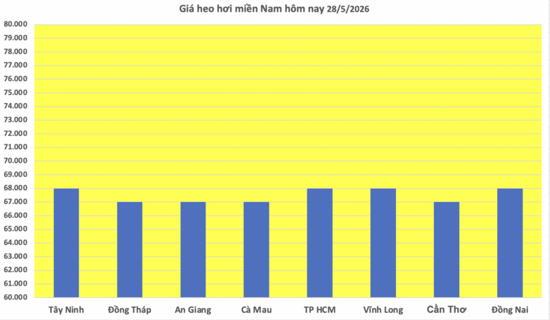 Giá heo hơi hôm nay 28/5/2026: Đảo chiều, giảm rải rác trên cả 3 miền - 3