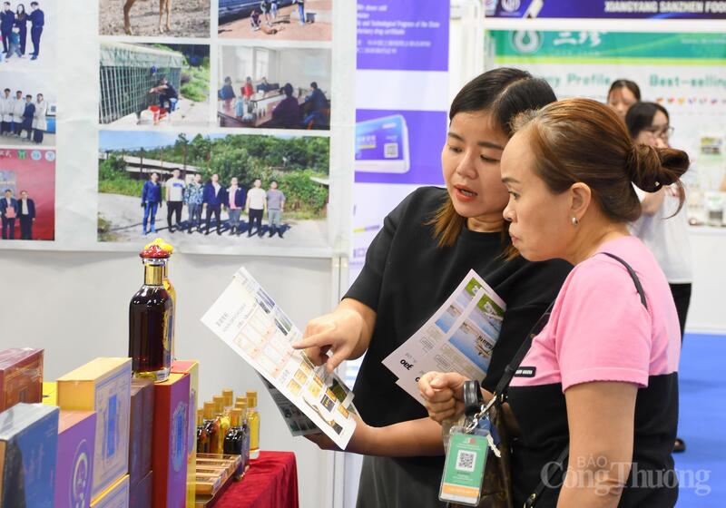 VIIEF 2026 mở rộng kết nối giao thương Việt Nam - Trung Quốc - 5