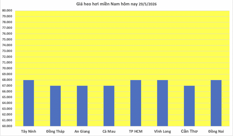 Giá heo hơi hôm nay 29/5/2026: Giảm nhẹ tại miền Bắc - 3