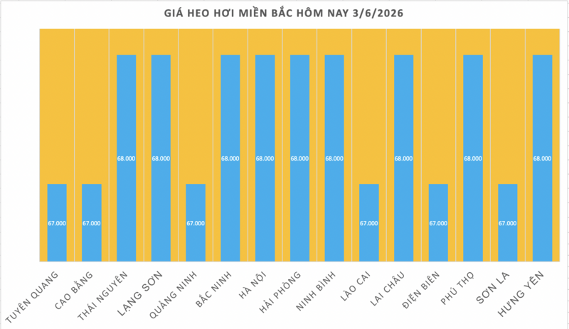 Giá heo hơi hôm nay 3/6/2026: Đi ngang trên cả nước - 1