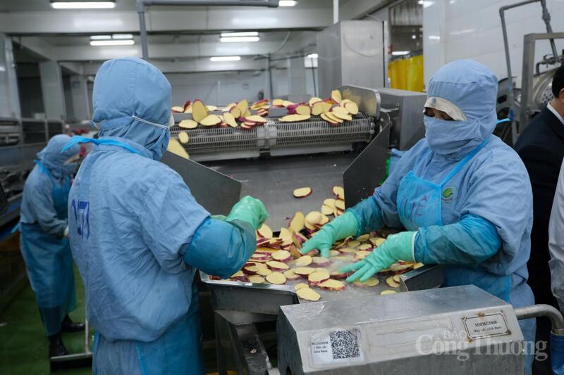 Công nghiệp chế biến thực phẩm cũng ghi nhận mức tăng trưởng khá. Ảnh: Lê Sơn