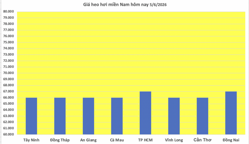 Giá heo hơi hôm nay 5/6/2026: Giảm đồng loạt tại miền Trung, miền Nam - 3