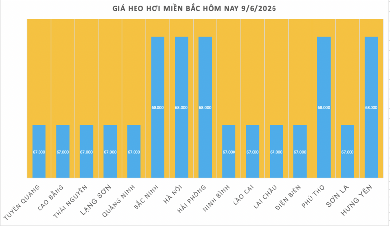 Giá heo hơi hôm nay 9/6/2026: Giảm tại nhiều nơi - 1