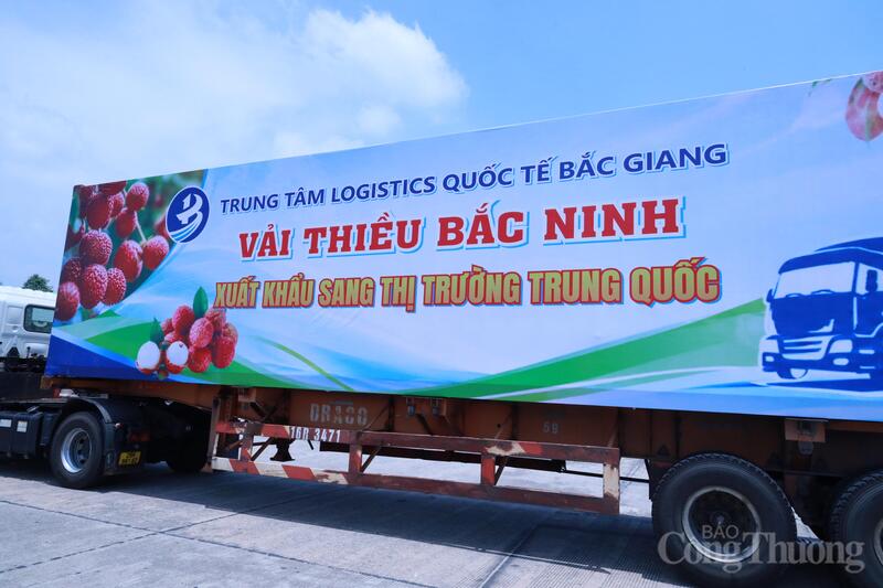 Những lô hàng vải thiều Bắc Ninh được xuất khẩu sang thị trường Trung Quốc. Ảnh: Trần Khoa