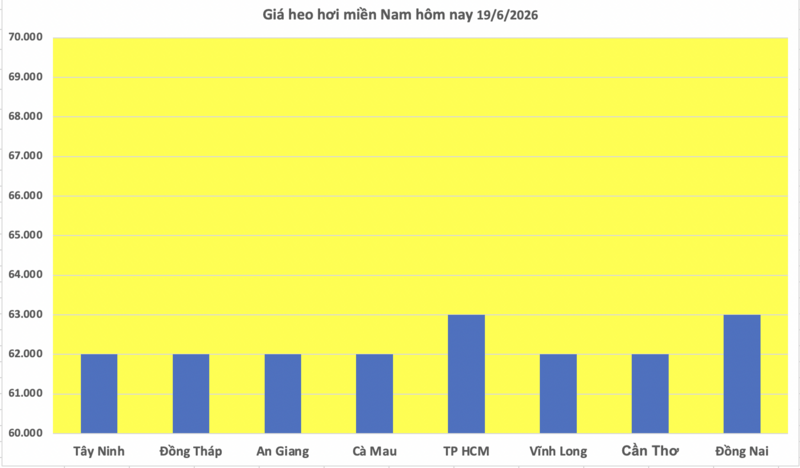 Giá heo hơi hôm nay 19/6/2026: Miền Nam tiếp nối đà giảm - 3