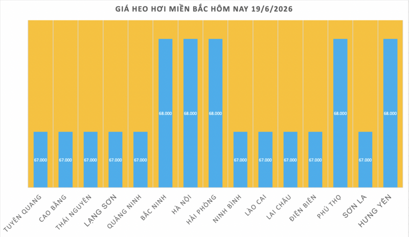 Giá heo hơi hôm nay 19/6/2026: Miền Nam tiếp nối đà giảm - 1