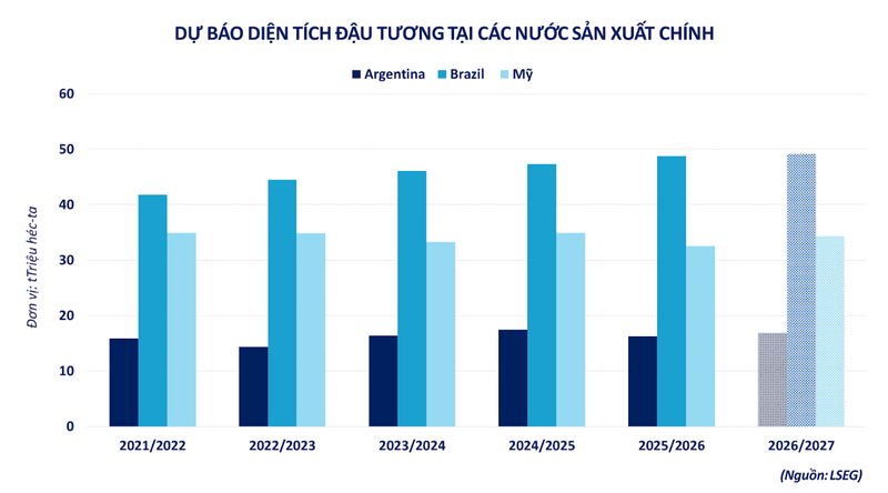 Dự báo diện tích đậu tương tại các nước sản xuất chính. Nguồn: MXV