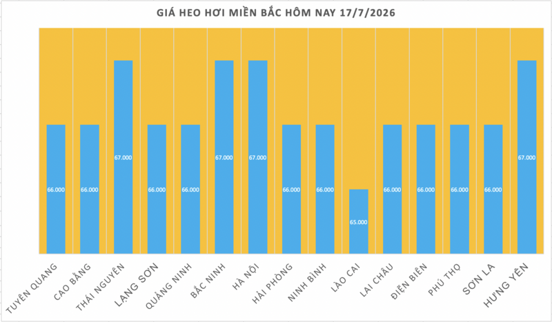 Giá heo hơi hôm nay 17/7/2026: Thị trường lặng sóng - 1