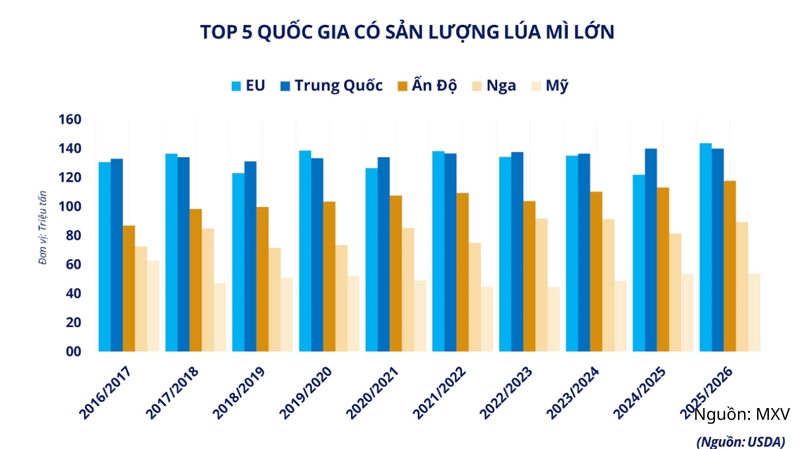 Top 5 quốc gia có sản lượng lúa mì lớn