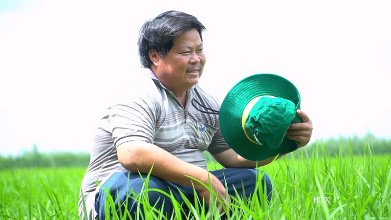 Sau nhiều năm canh tác trên vùng đất phèn, ông Trần Văn Phước mạnh dạn đổi mới tư duy, ứng dụng tiến bộ kỹ thuật nhằm giảm chi phí, nâng cao hiệu quả sản xuất lúa.