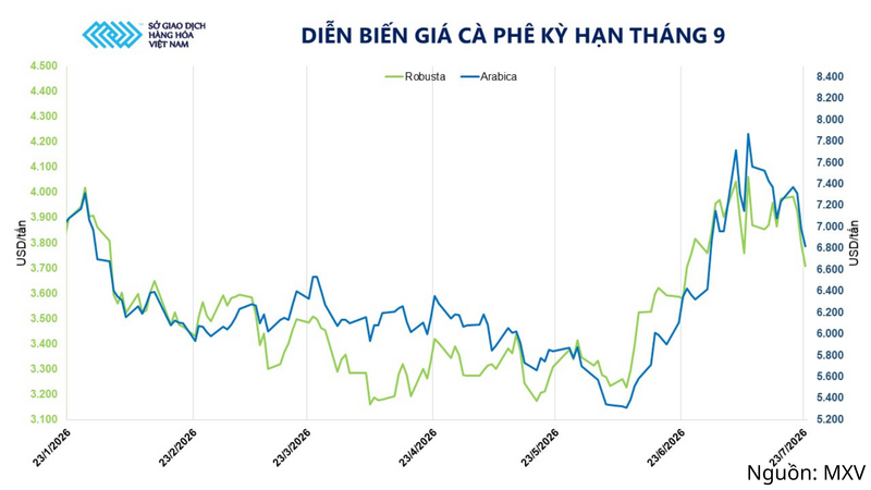 Diễn biến giá cà phê kỳ hạn tháng 9