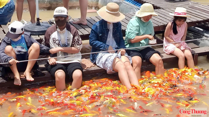 Du khách hào hứng trải nghiệm tại điểm du lịch ở Cần Thơ.