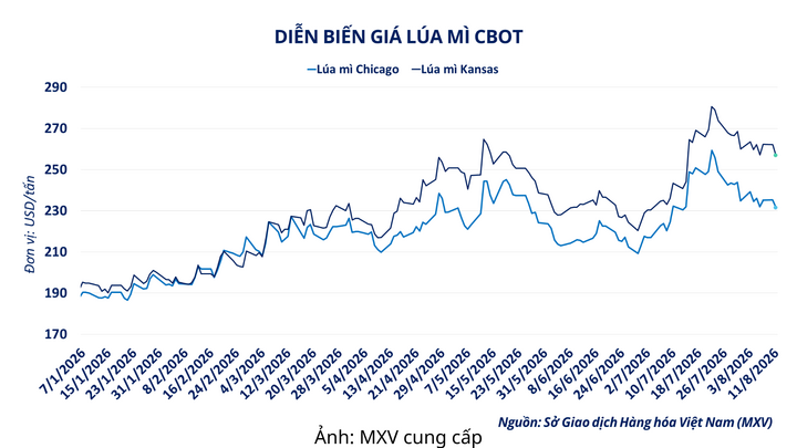Diễn biến giá lúa mì CBOT