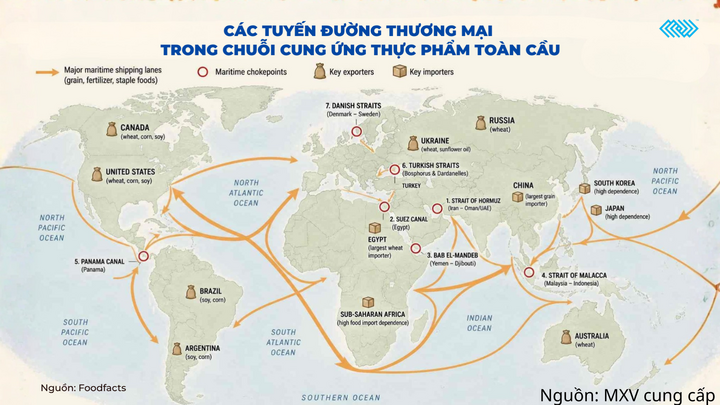 Các tuyến đường thương mại trong chuỗi cung ứng thực phẩm toàn cầu