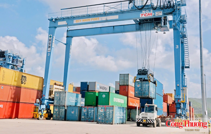 Vận chuyển hàng hoá tại Cảng Quy Nhơn.