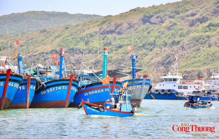 Toàn tỉnh Gia Lai hiện có 5.738 tàu cá từ 6m trở lên đã đăng ký, trong đó 54,7% là tàu khai thác xa bờ.