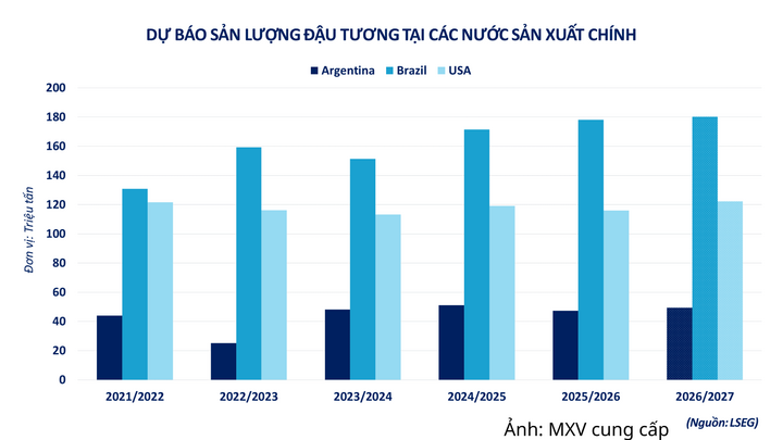 Dự báo sản lượng đậu tương tại các nước sản xuất chính.