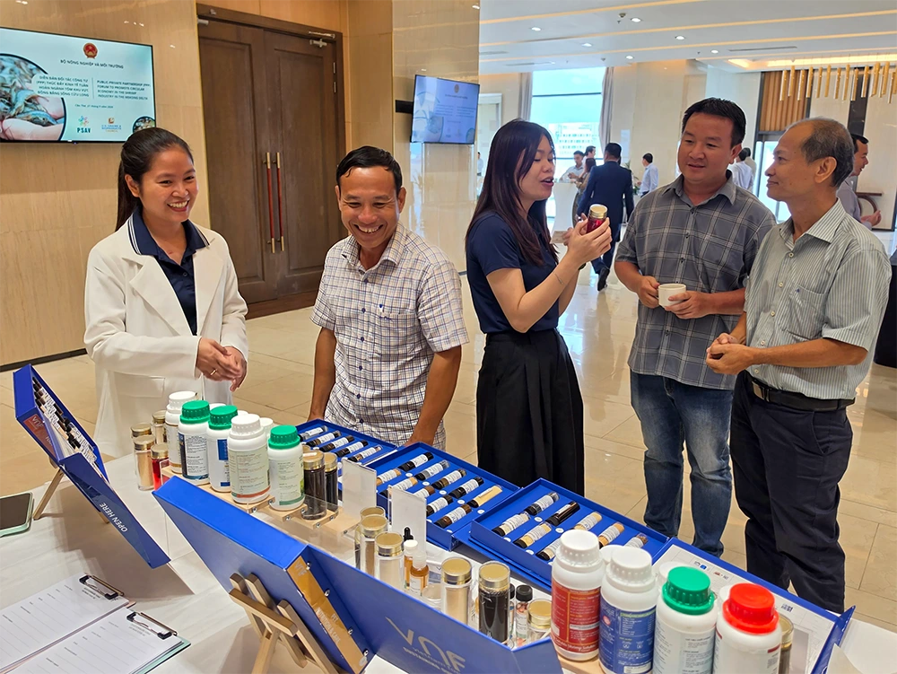 Thúc đẩy kinh tế tuần hoàn ngành tôm tại ĐBSCL