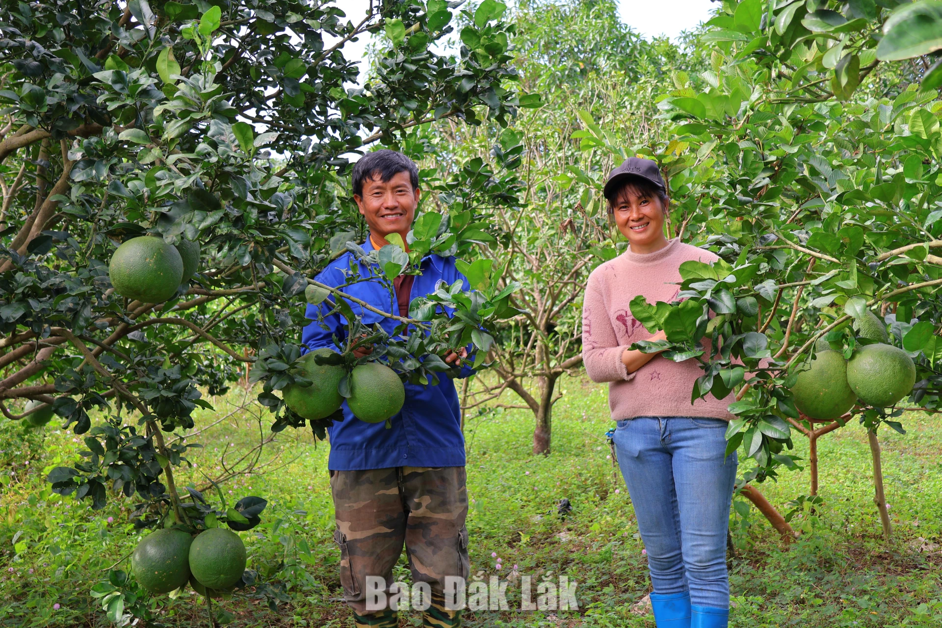 Hợp tác