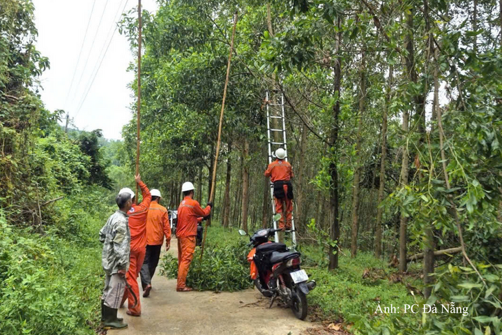 Nhân viên Điện lực Đà Nẵng phát quang hành lang tuyến