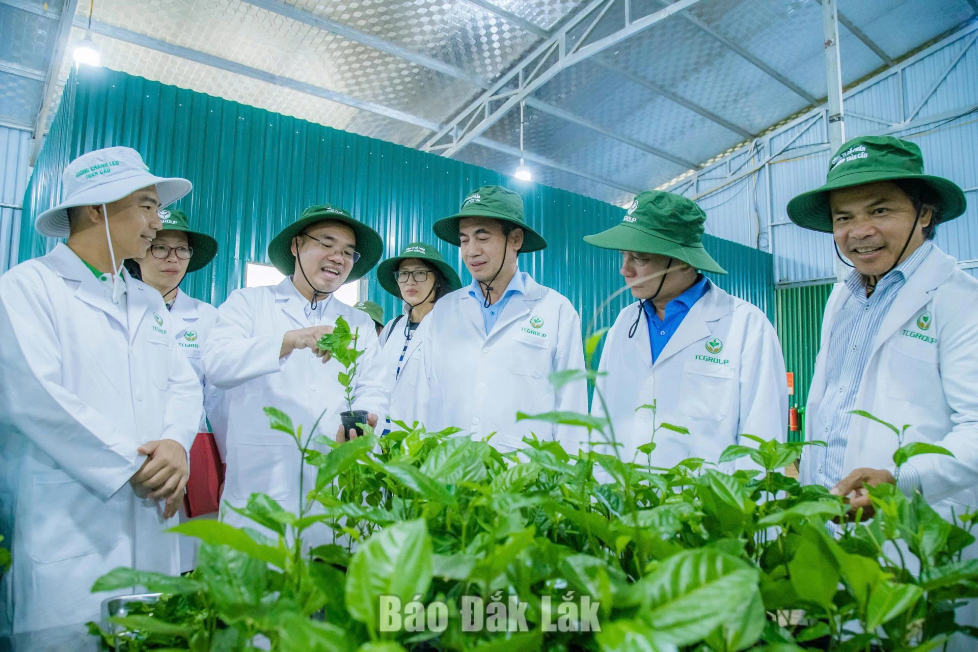 Ứng dụng công nghệ cao trong sản xuất cây giống. Ảnh: Minh Thuận