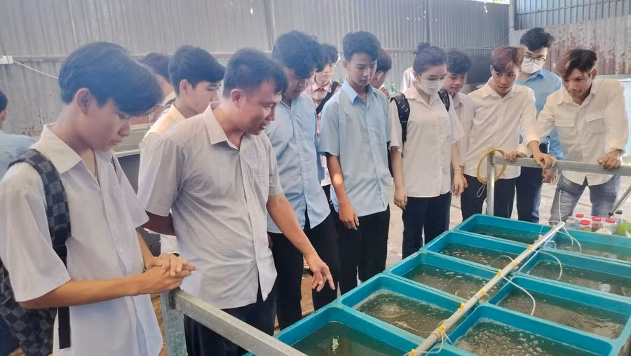 Tiết thực hành nghề nuôi trồng thủy sản tại Trường Cao đẳng Cà Mau. hoc-nghe-khong-con-la-lua-chon-tinh-the-2-1.jpg