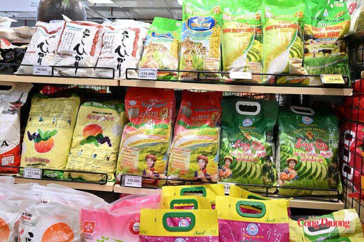 Thương nhân xuất khẩu gạo sẽ được đánh giá mức độ tín nhiệm từ ngày 1/1/2028 theo quy định tại Thông tư 65/2026/TT-BCT. Ảnh: Cấn Dũng