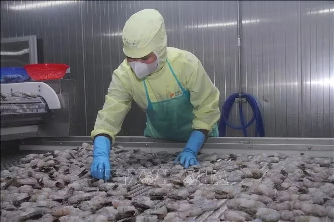 Ngành tôm nhận diện thách thức để bứt phá