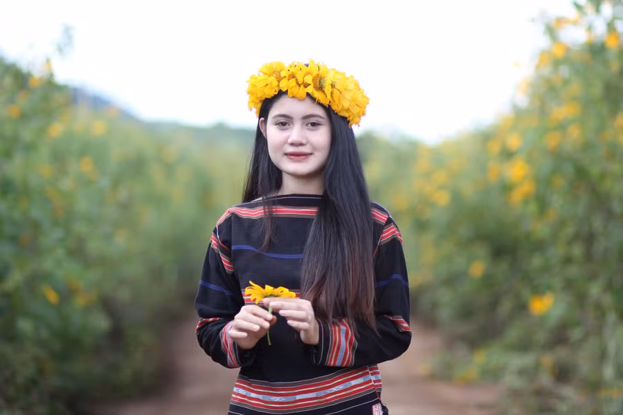 Thiếu nữ Gia Lai rạng rỡ bên mùa hoa dã quỳ.