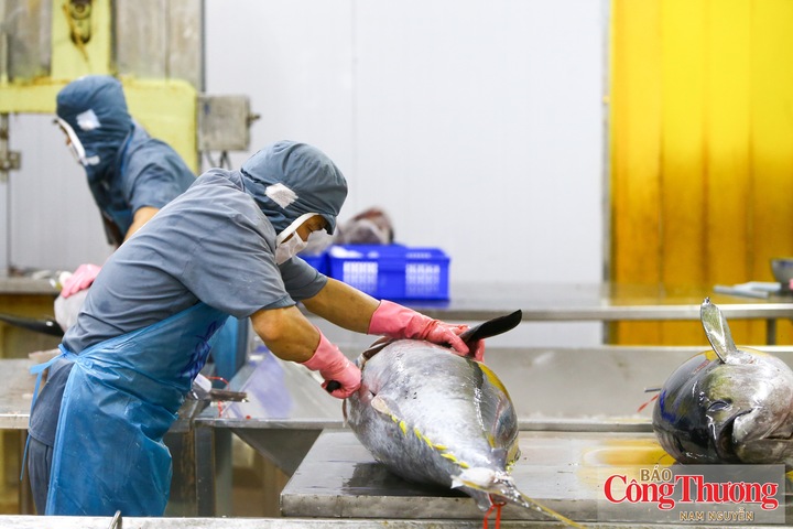 UKVFTA đang tạo thêm dư địa cho thủy sản Việt Nam tại thị trường Anh.