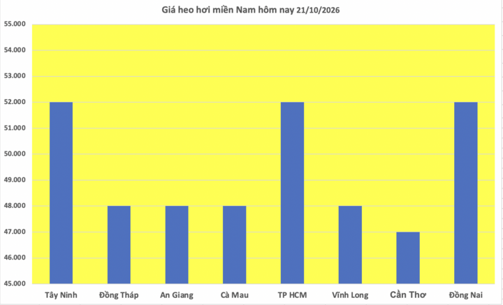 Giá heo hơi hôm nay 21/10/2026: Nối đà giảm liên tiếp - 3