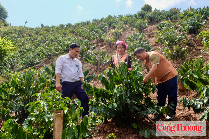Cán bộ kinh tế xã Nà Bủng hướng dẫn các hộ dân trồng cà phê kỹ thuật chăm sóc.
